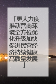 更大力度推动营商环境全方位优化升级加快促进民营经济持续健康高质量发展